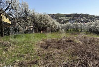Spațiu comercial, în Crișeni - 3
