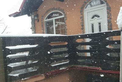 Casa de Vacanta - 10