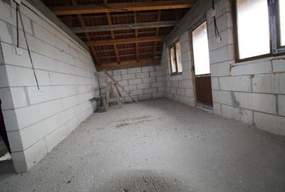 Casă P + 1 Câmpu Mare, Albeni - 9