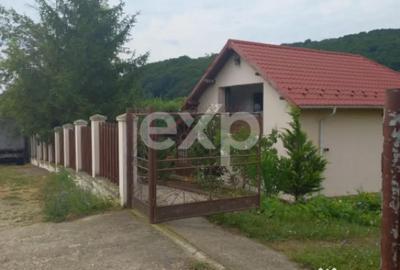 Casă cu 4 camere cu Teren 5500 Mp în Mălureni - 12