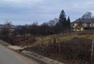 Spațiu comercial, în Cicârlău - 5