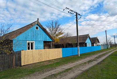 Teren Construcții intravilan în Letea - 4