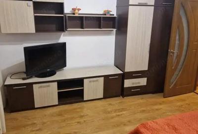Garsoniera 35 mp Brazda lui Novac Pet Friendly - 7