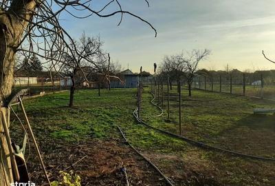 Casă cu 3 camere cu Teren 100 Mp în Central - 2