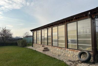 Casa sat Serbestii Vechi - 4