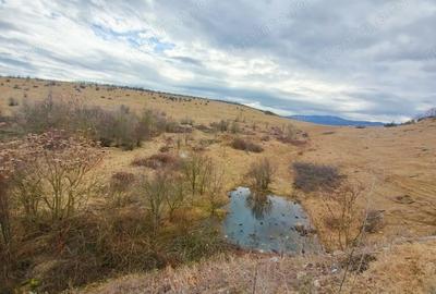 Teren de 24381 mp, în Central - 10