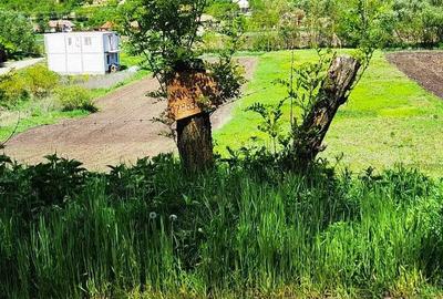 Teren de 2900 mp, în Căianu - 8