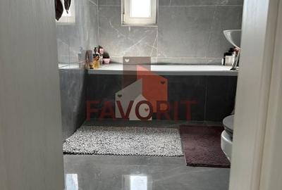 Braytim. Mobilat si utilat. Strada asfaltata - 14