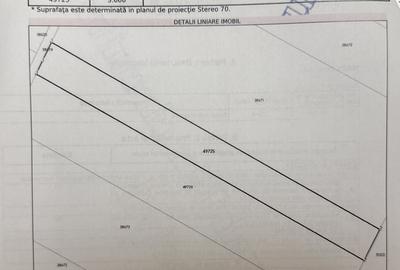 Ghimpati, jud. Giurgiu, 300 m pana la sens giratoriu, benzinaria Petrom - 2