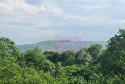 Vila de vanzare cu 6 camere in Cornu (teren 6.600 mp) - 11