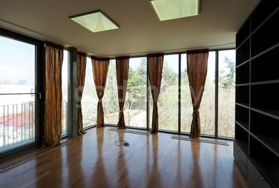 Casă individuală cu 10 camere cu Canalizare în Floreasca - 12