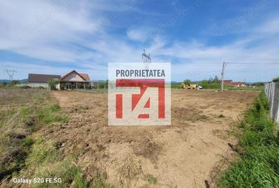 Teren de 1312 mp, în Cătălina - 8