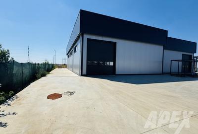 Spatiu Industrial-Hala | Teren 973mp | Domnesti-Centura Bucuresti - 3