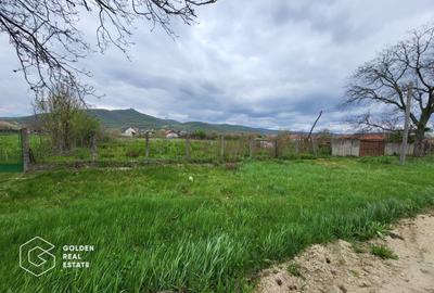 Teren Construcții intravilan de 2880 mp, în Șiria - 2