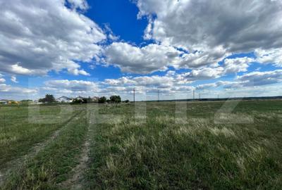 Teren extravilan, 2.800 mp, doua fronturi, Izvorul Rece - 2