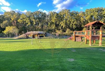 Casă cu 9 camere cu Piscina în Grădiștea - 14