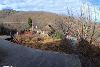 Casă cu 3 camere în Sibiel - 8