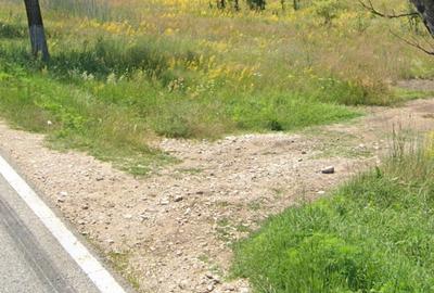 Teren de 5777 mp, în Polovragi - 2