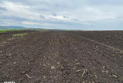 Teren de 10200 mp, în Budești - 6