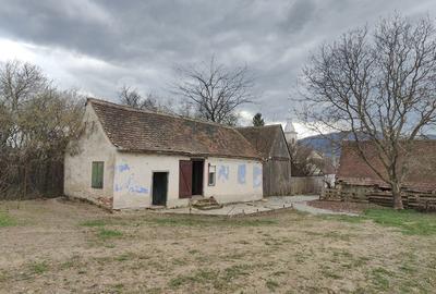 Casă cu 3 camere în Săcel - 5