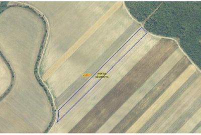 Teren extgravilan agricol Uliesti, ID: R2263433 - 1