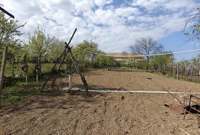 Casă cu 4 camere în Central - 2