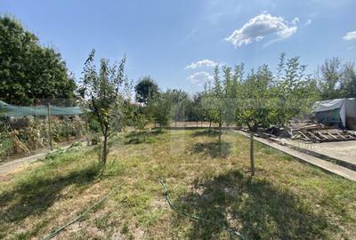 Teren 800 mp, fundatie 125 mp, 20 m deschidere, toate utilit - 2