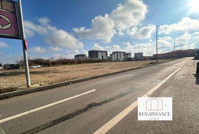 Teren Construcții intravilan de 3053 mp, în Aradului - 3