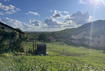RECO Teren 4300 mp Podgoria-Oradea la 10 minute de centru - 12