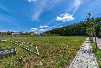 Teren de 4256 mp, în Corbeanca - 4