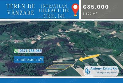 Teren extravilan, de vanzare, Uileacu de Cris, Bihor - 4