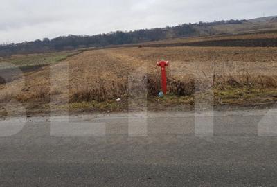 Teren extravilan, 4000 mp Jucu, zona Bosch - 1