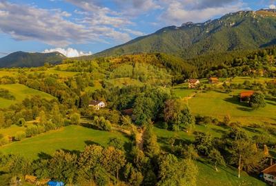 Teren intravilan cu PRIVELISTE UNICA |BRAN, BV| 3,000mp | COMISION 0 | - 19