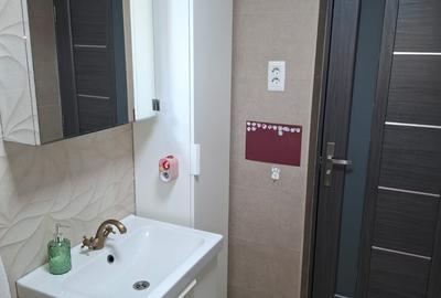 Islaz, Branesti, casa vanzare - 10