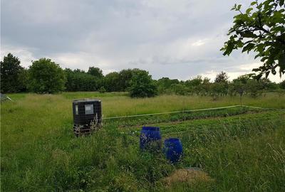 Casă în Comana - 3