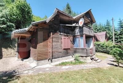 Cabana 5 camere Salard - 2