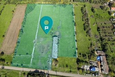 Hala de 430 mp ?i teren intravilan 2.5 ha Macea - 17