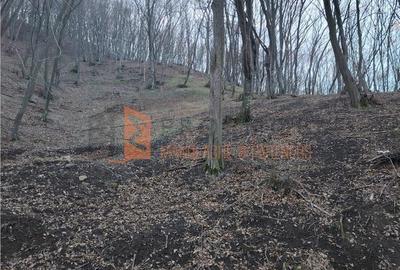 Teren de 1000 mp, în Merei - 6