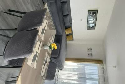 Apartament cu 2 camere decomandat în Băile Felix - 8