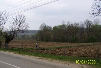 Vad 22000 mp INTRAVILAN BOGATI DJ702C jud Arges - 4