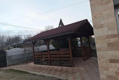 Casă cu 3 camere cu Teren 485 Mp în Frătești - 1