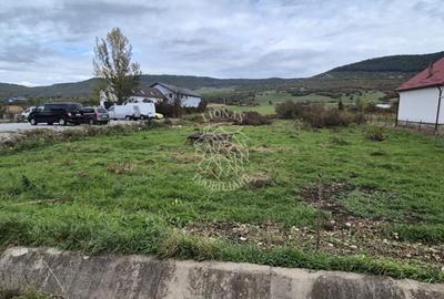 Teren Construcții intravilan de 5800 mp, în Șieu-Măgheruș - 2