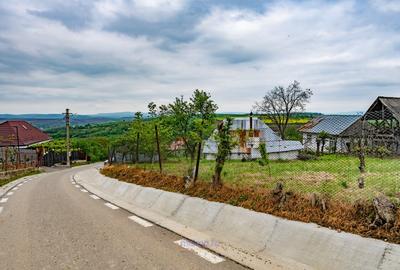 Teren Construcții de 13434 mp, în Ardeoani - 3