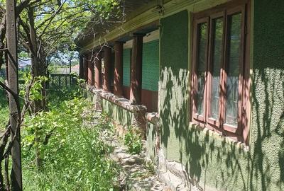 Casă cu 4 camere în Mihai Bravu - 7