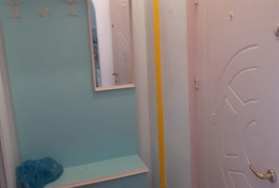 Vatra Luminoasa,la curte,parter inalt/1,Amenajat,centrala,Pets Friendly - 9