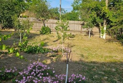 Casă cu 4 camere cu Teren 96 Mp în Oancea - 3