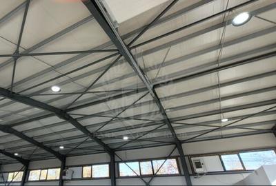 Spațiu industrial, în Rudului - 2