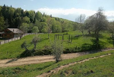 Teren de 1800 mp, în Varvata - 3