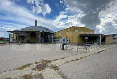 Fosta fabrica de dulciuri, 15533 mp, Freidorf - 12