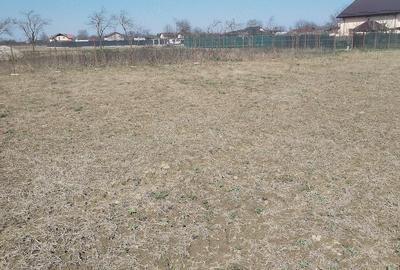 Teren de 5500 mp, în Ruși-Ciutea - 22
